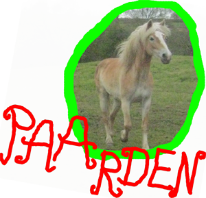 paarden