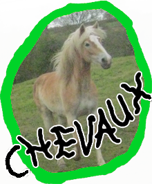 chevaux