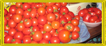 tomaten