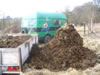 toen we nog geen paarden hadden haalden we mest bij een paardenstal in de buurt